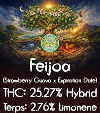 Feijoa (Hazy Valley Horticulture)