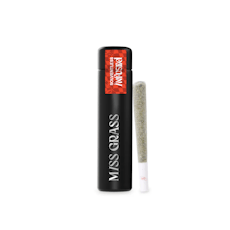 Fast Times | Bob Hope | 1g Hash Infused Preroll (1pk)