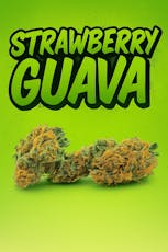 Tier 1 - Strawberry Guava - - 1g