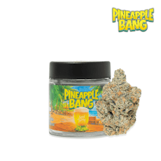 Seed Junky | Pineapple Bang (S) | 3.5g Premium Indoor Flower