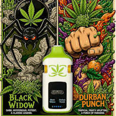 Black Widow x Durban Punch | 2g Liquid Diamond Dual Vape (Disposable)