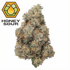 A1 Stank Sauce (S) - Flower - 1/8oz