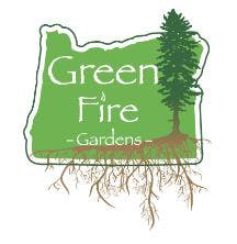 Blue Dream 1g Preroll