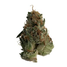 Crooked Jaw | Moroccan Peaches | Flower | 3.5g