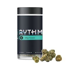 Rythm Gas Guzzler #9