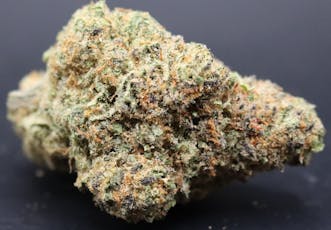Stellar (S) Tropical Banana