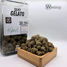 Silky Gelato (H)