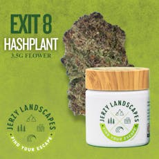Exit 8 Hashplant | 3.5G Flower | Indica