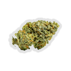 Gelatti Mints | AltSol | Bulk