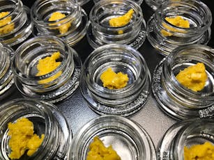 White Dream Budder - 1g