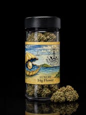 Out East Canna | Gas Power OG Flower | 14g