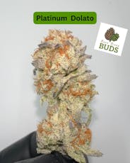 Platinum Dolato | 3.5g