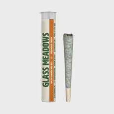 (GM) Slurricane | 1g Preroll (1pk)