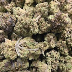 GBJ x Blue Dream (Indrovation)
