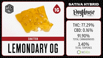 WLE - Lemondary OG (S) - Shatter Dab 1g