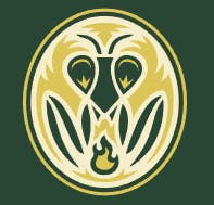 Pinnacle Valley - Murder Biscuits - Pre-Roll - 1g