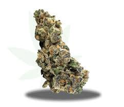 Flower - Gator Breath (H)
