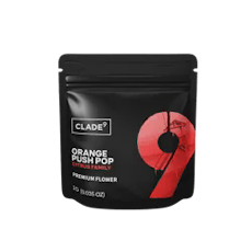 Orange Push Pop | 1g (S)