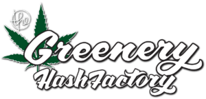 The Greenery | Lebanese Hash | Jackie Treehorn | 1g