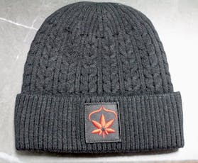 NuVue Logo Beanies