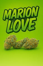 Tier 1 - Marion Love -