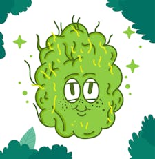 Sour Diesel - $100 Oz.