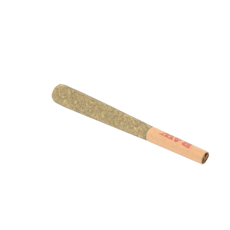 .5g Pre roll - Fritter Glitter (I)