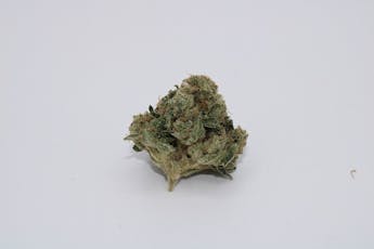 SG - Bushido - Deli Style Flower