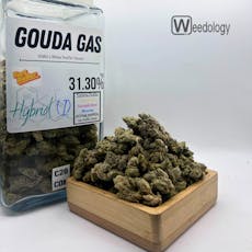 Gouda Gas (I-H)