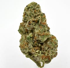 Guava Zero Gravity (H)