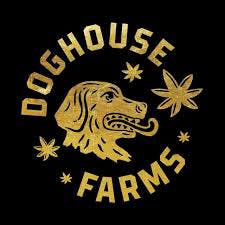 Zoinks - "Bones" 5 Pack of 1g Prerolls (Doghouse)