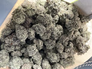 Blueberry Sugar 14 Grams