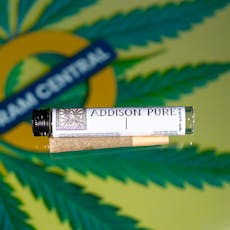 Addison Pure | G 13 Preroll | 1g