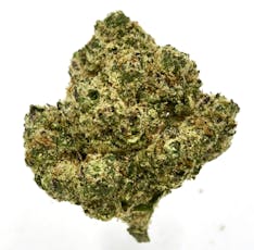 * Lemon Cherry Gelato (I)