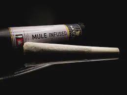 Pre-Roll 1g Infused Eucalyptus Haze x Mango Kush (Mule Extracts)