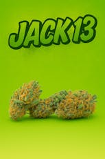Tier 3 - Jack 13 -