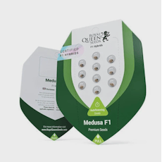 Royal Queen Autoflower seeds 3 pk - Medusa F1