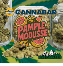 Kine Cannabis | Pamplemousse | Bulk Flower