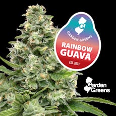 Rainbow Guava I 14g I Mixed Nugs I Garden Greens