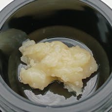 SGB x Harbor House | Black Maple Live Rosin 1g