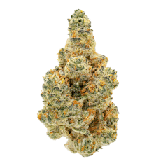 Umamii | Flower | 3.5g | Mixed Light GMO