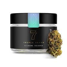 Triple 7's Cap Junky 3.5