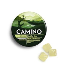 Camino | Gummy | 20pk | 40mg THC 120mg CBD | SOCIAL Sparkling Pear