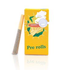 Biscotti (5pk.) - 2.5g - Small Joint Box