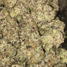 Pot Roast (Focus North)