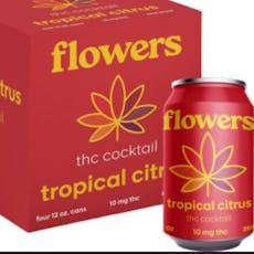 Flowers Cocktail Tropical Citrus