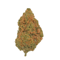Golden Goat