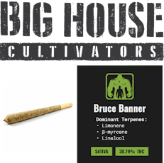 Big House | Bruce Banner | Preroll | 1g