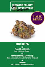 Halle Berry | Pre-rolls