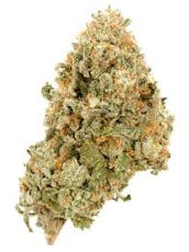 Afghan Cow (S)